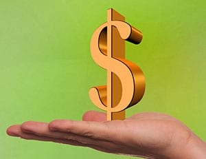 image of hand with a dollar sign